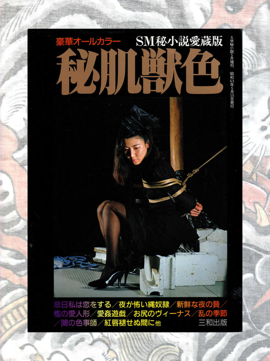SM Photo Romance Secret Skin by SM Secret Novel (1988)