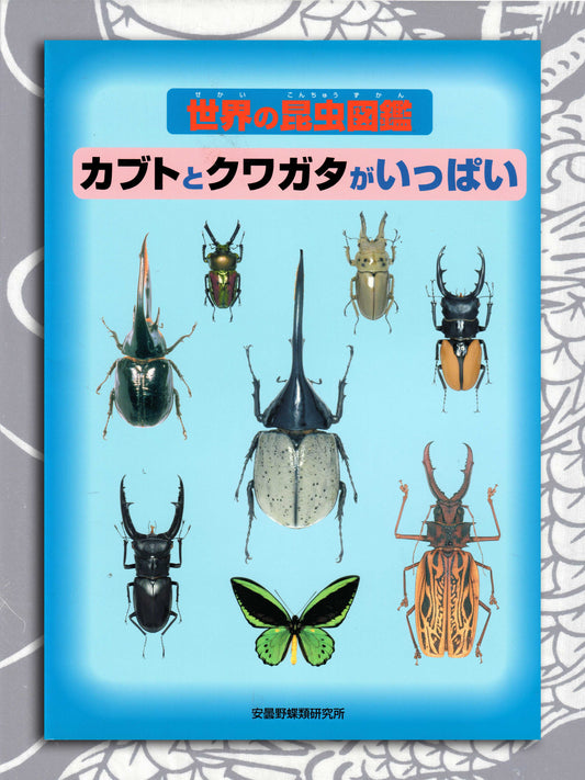 Illustrated World Of Insects Specialty