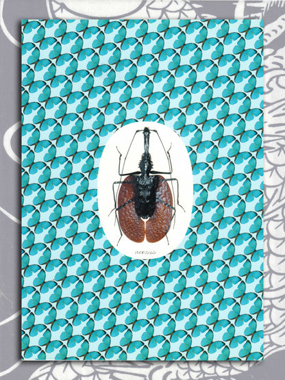 Illustrated World Of Insects Specialty