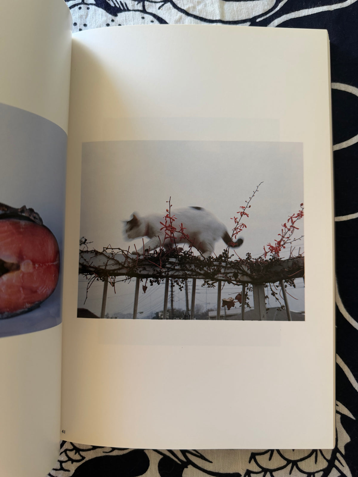 Sensual Flowers - Nobuyoshi Araki (1996)