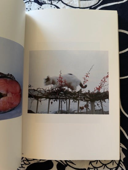 Sensual Flowers - Nobuyoshi Araki (1996)