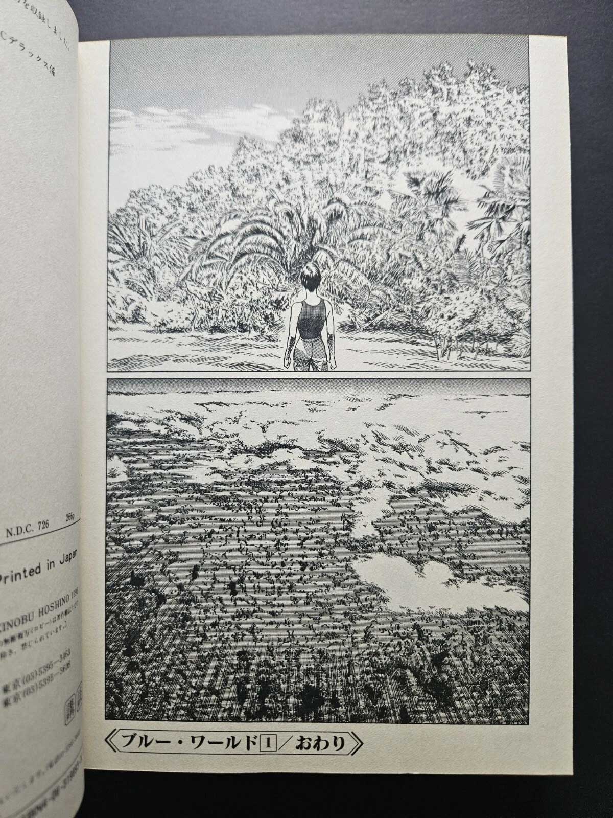 The Blue World - Yukinobu Hoshino (1996)