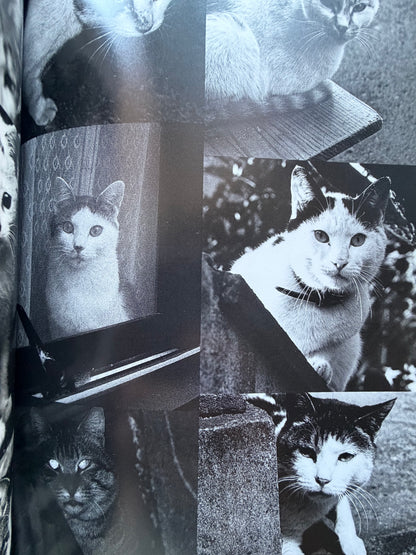 Chrio, Araki & Two Lovers - Nobuyoshi Araki (1996)