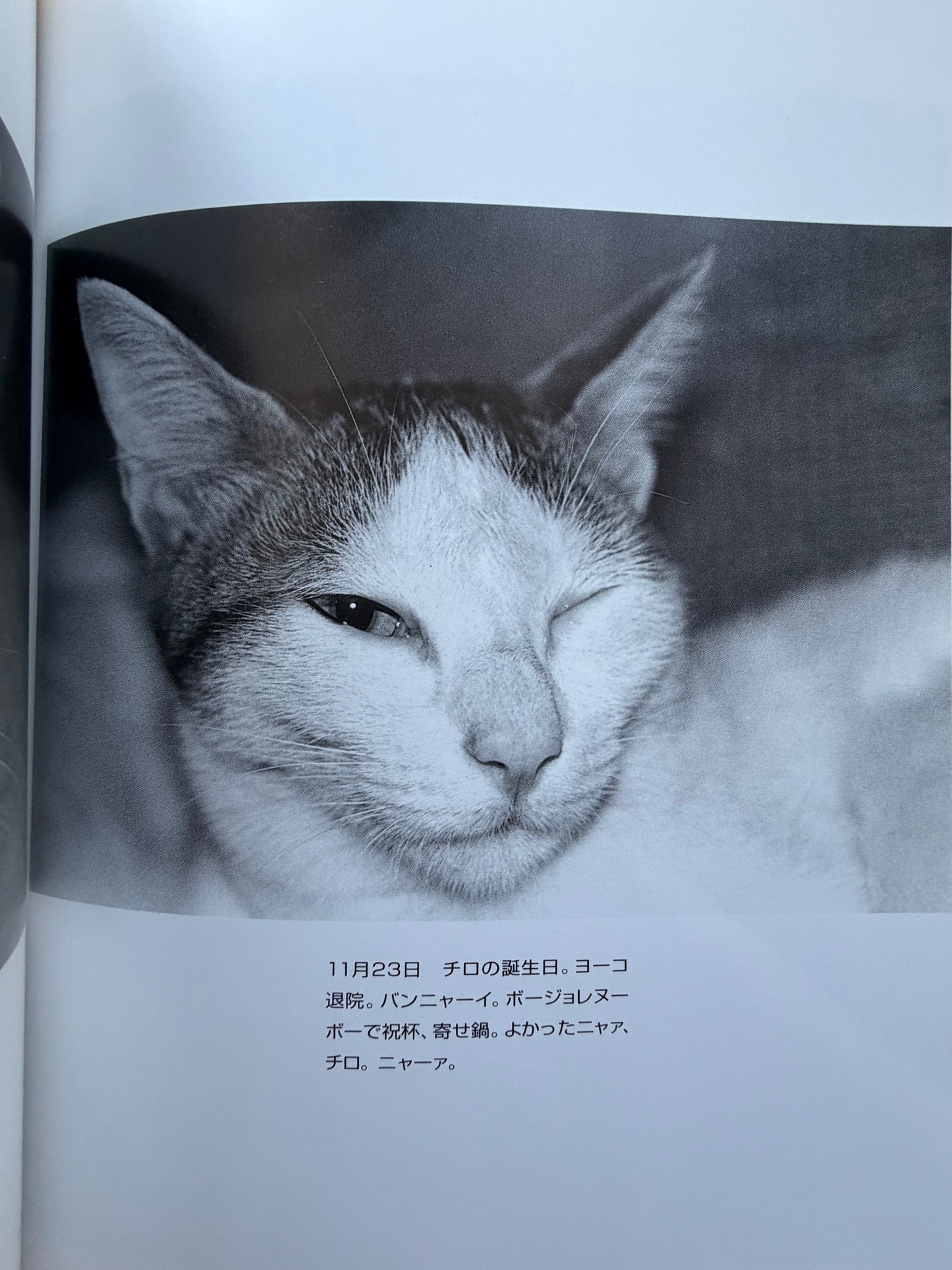 Chrio, Araki & Two Lovers - Nobuyoshi Araki (1996)