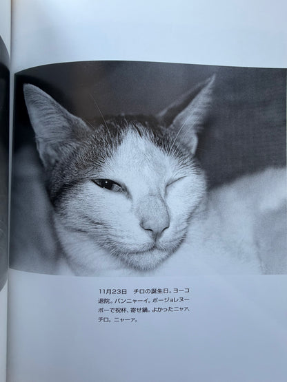 Chrio, Araki & Two Lovers - Nobuyoshi Araki (1996)