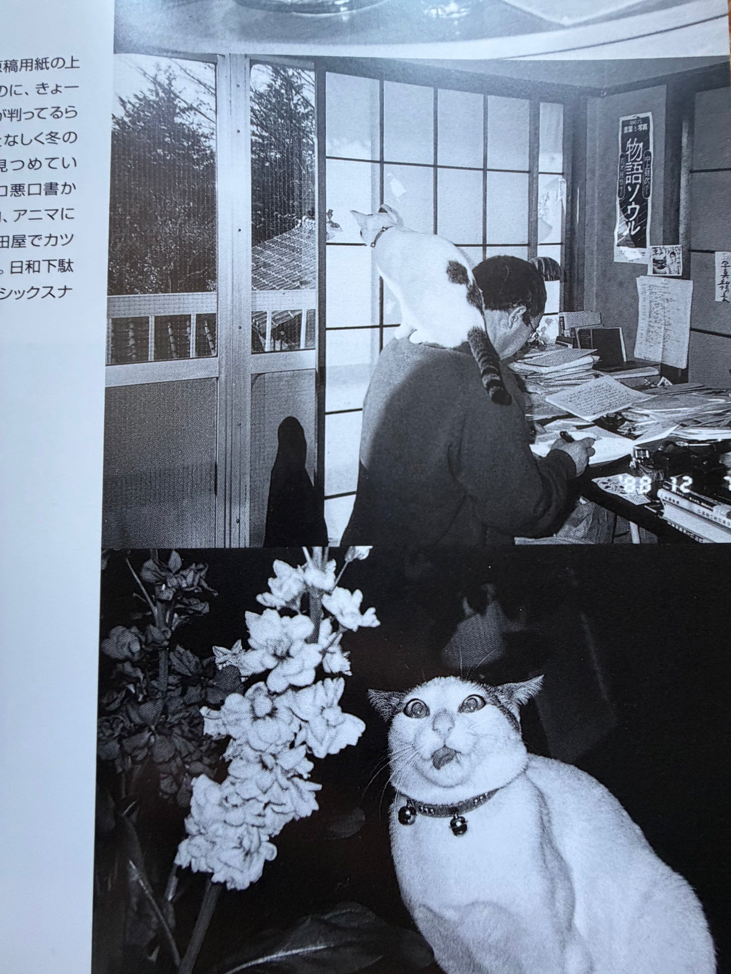 Chrio, Araki & Two Lovers - Nobuyoshi Araki (1996)