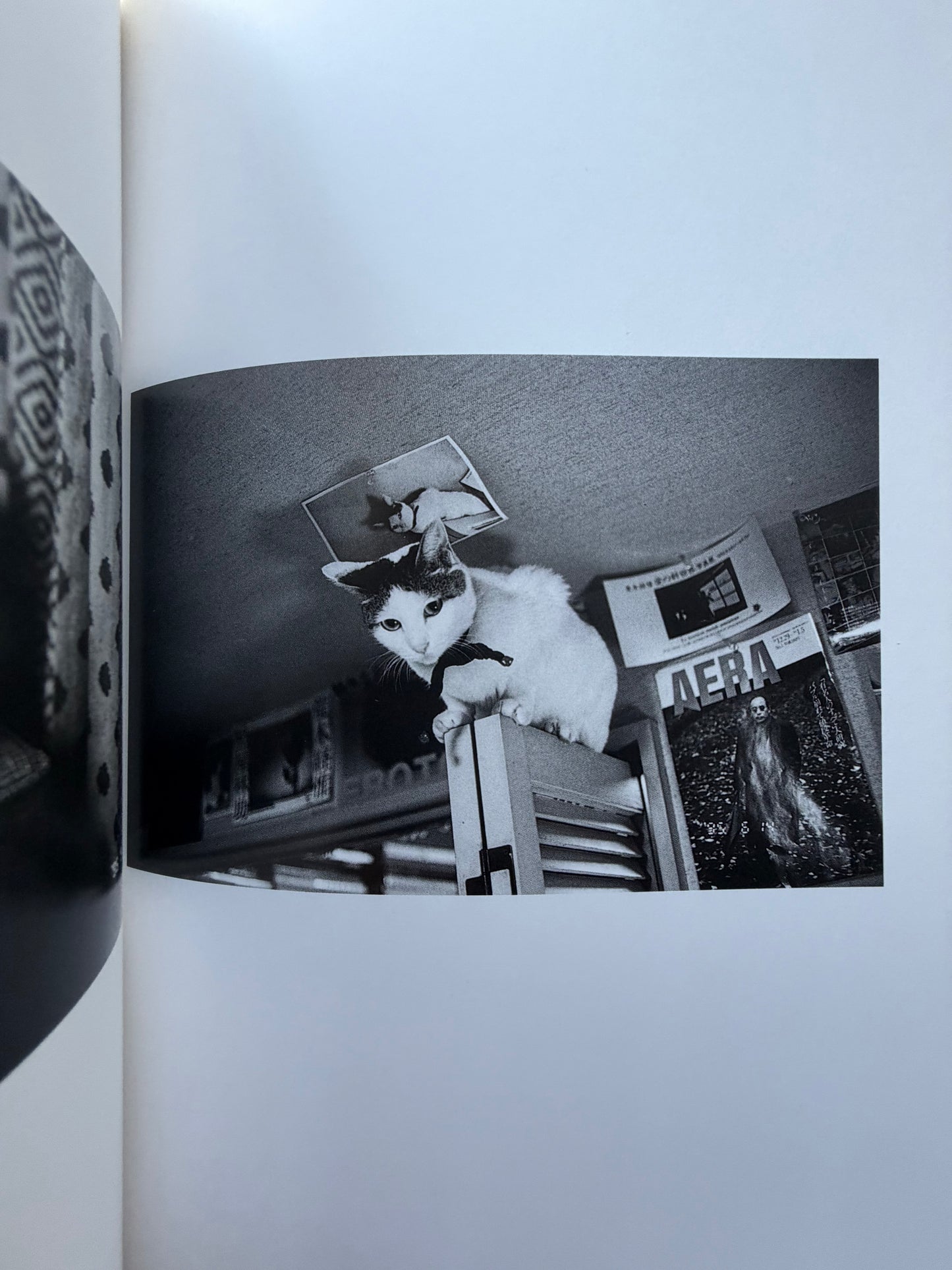 Chrio, Araki & Two Lovers - Nobuyoshi Araki (1996)