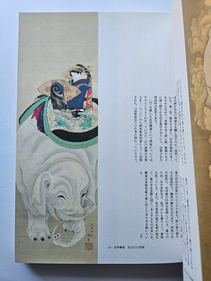 Figure Paintings from the Edo Period : Beauty, Power, Eccentricity of Figure