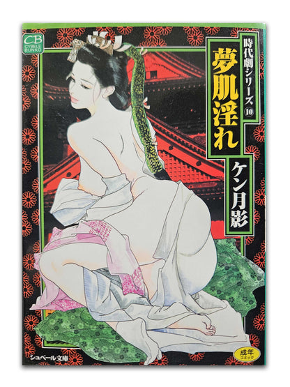 Skin Lewd Dream by Ken Tsukikage (1998)