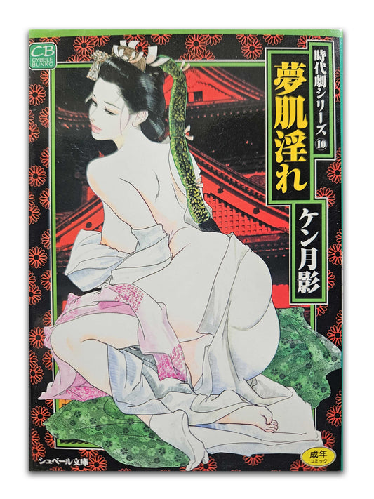 Skin Lewd Dream by Ken Tsukikage (1998)